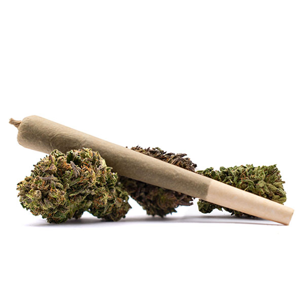 Indica Dominant Preroll