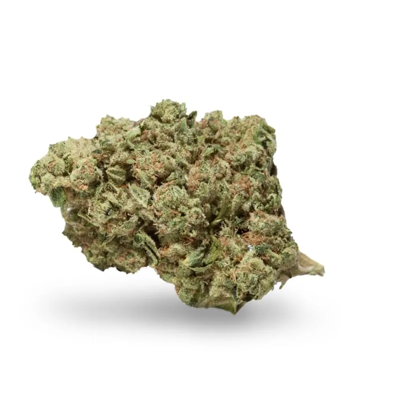 Lemoncello Haze (Sativa)