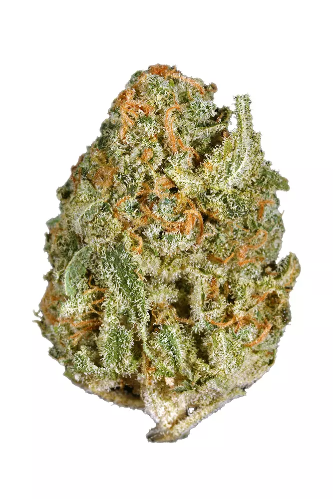 White Rhino (Indica)
